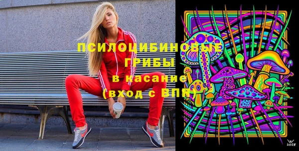 2c-b Армянск
