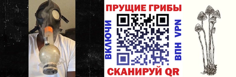 Галлюциногенные грибы мицелий  Партизанск 