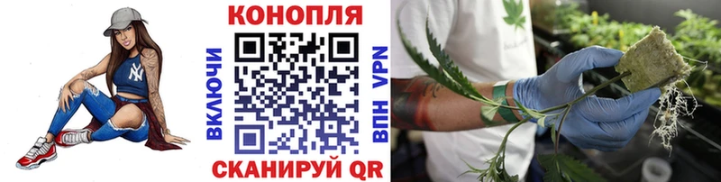 закладки  Партизанск  МАРИХУАНА White Widow 